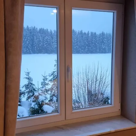 Creating Memories Appartement Titisee-Neustadt Buitenkant foto